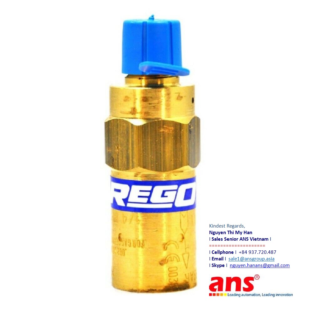 rego-pressure-relief-valve-prv9432t230-brass-material-cryogenic-rego-vietnam.png
