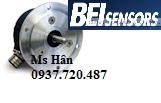 dsm9h-bo-ma-hoa-rotary-encoders-for-functional-safety-dai-ly-bei-sensors-vietnam.png
