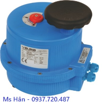 electric-actuators-serie-85-general-specifications-dai-ly-valbia-vietnam-1.png