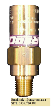 new-relief-valve-0-450-psig-1-4-inches-npt-prv9432t450-rego-vietnam.png